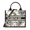 Small Dior Book Tote