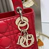 Mini Lady Dior Bag - Image 6